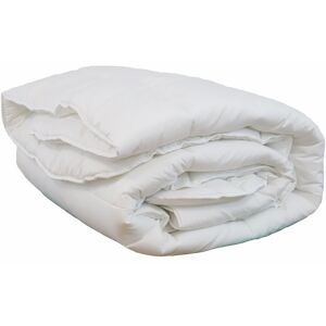 Linandelle Couette blanche 550gr hiver en polyester blanc 220x240 cm