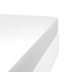 Linandelle Drap housse jersey extensible lit double en coton blanc 100x200 cm