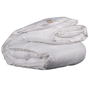 Castex Couette naturelle temperee en duvet et coton bio 260x240 cm