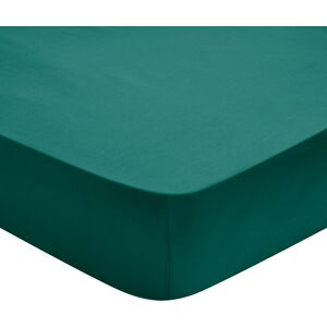 Drap Housse Percale Foret 160x200 cm - DODO