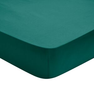 Dodo Drap Housse Percale Foret 200x200 cm