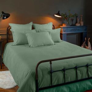 Carre Blanc Housse de couette percale de coton uni vert 240 x 220 cm