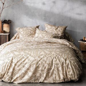 Becquet Housse de couette 260x240 beige en coton