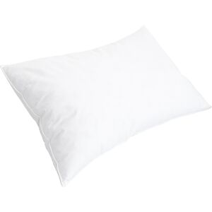 Bellecour Oreiller 40x60 Duvet & Plumes Mi-ferme