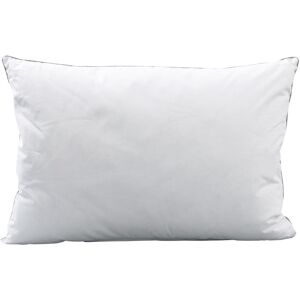 Carre Blanc Oreiller rectangulaire mi-ferme duvet d'oie blanc 50 x 70 cm