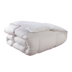 Drouault Couette Eclipse - 50% Duvet - Temperee 220x240 cm