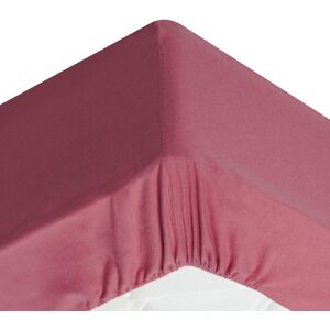 Becquet Drap-housse grand bonnet 180x200x32 rose framboise en coton