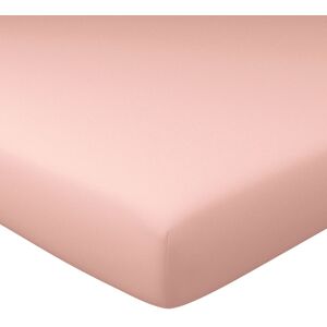 Becquet Drap-housse grand bonnet 160x200x40 rose the en coton