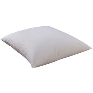 Dodo Oreiller naturel 90% duvet de canard 50x75 cm - Publicité Dodo Oreiller naturel 90% duvet de canard 50x75 cm - Publicité