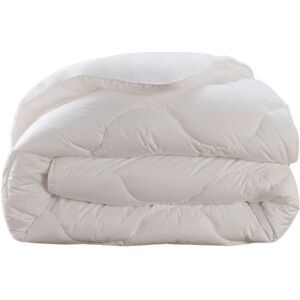 Dodo Couette ultra confort thermolite chaude 200x200 cm - Publicité Dodo Couette ultra confort thermolite chaude 200x200 cm - Publicité