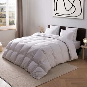Anne de Solène Couette adonis synthétique tempérée coton 240x220 cm - Publicité Anne de Solène Couette adonis synthétique tempérée coton 240x220 cm - Publicité