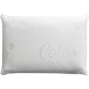 Becquet Oreiller ergonomique en polyester blanc 60x40cm - Publicité Becquet Oreiller ergonomique en polyester blanc 60x40cm - Publicité
