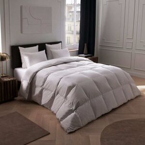 Anne de Solène Couette kartala naturelle chaude coton 240x220 cm - Publicité Anne de Solène Couette kartala naturelle chaude coton 240x220 cm - Publicité