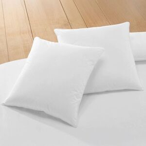 Becquet Oreiller médium en coton blanc 65x65cm - Publicité Becquet Oreiller médium en coton blanc 65x65cm - Publicité