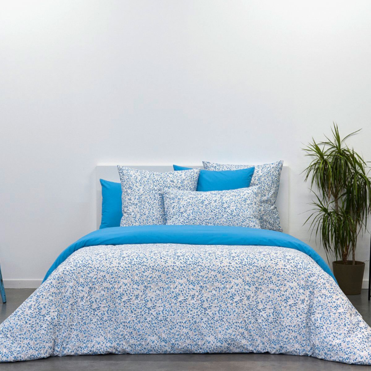 Anne de Solène Parure de lit percale bleu clair 240x220 + 2x65x65 cm