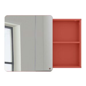 Meubles & Design Miroir placard salle de bain 58x80cm en bois orange