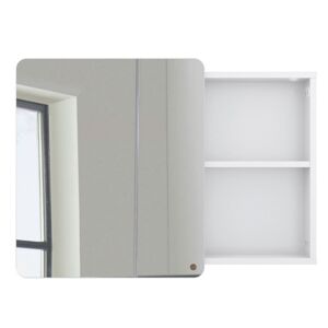 Meubles & Design Miroir placard salle de bain 58x80cm en bois blanc
