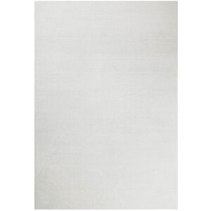 Esprit Tapis tufte poils longs gris blanc doux pour salon, chambre 170x120