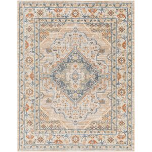 Surya Tapis Vintage Lavable en Machine Beige/Bleu 160x213