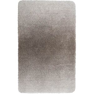 Wecon Home Basics Tapis de bain doux degrade taupe 60x100