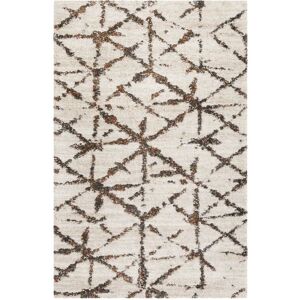 Esprit Tapis a poils longs design geometrique beige chine et brun 80x150