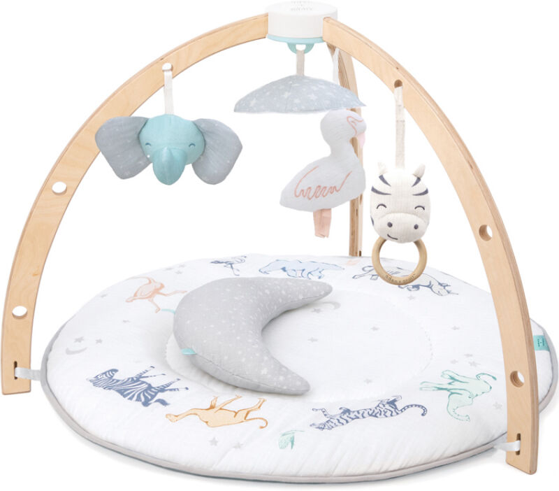 Aden + Anais Tapis d'éveil avec arches Animaux