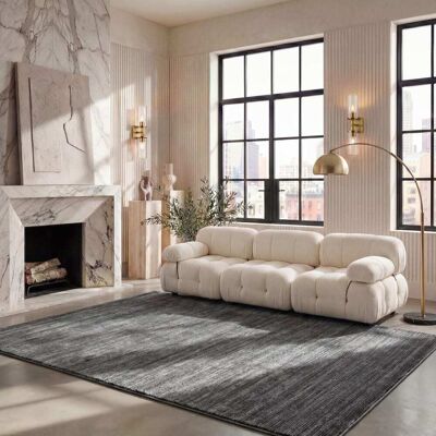Safavieh - VSN606 - Gris - 120x180 cm - Tapis - Publicité Safavieh - VSN606 - Gris - 120x180 cm - Tapis - Publicité