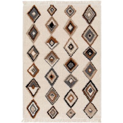 AFK Tapis doux et design style ethnique multicolore 120 x 170 cm - Publicité AFK Tapis doux et design style ethnique multicolore 120 x 170 cm - Publicité
