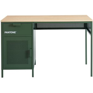 Drawer Bureau 1 porte 1 tiroir en metal PANTONE L120cm vert