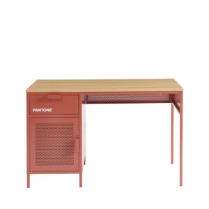 Drawer Bureau 1 porte 1 tiroir en metal PANTONE L120cm terracotta