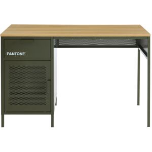 Drawer Bureau 1 porte 1 tiroir en metal PANTONE L120cm vert kaki