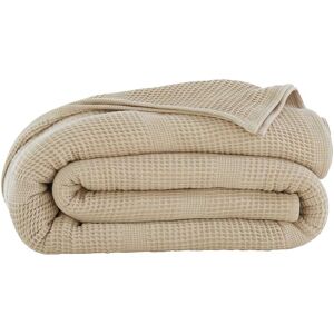 Becquet Couverture legere 250x270 beige en coton 300 g/m²