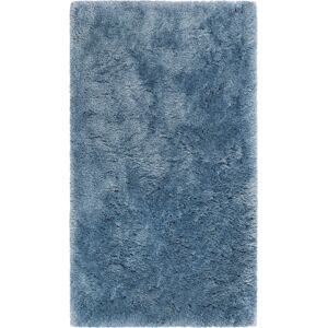 Homie Living Tapis de bain microfibre antiderapant bleu 60x100