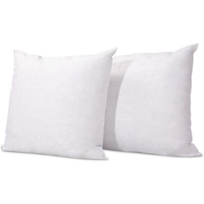 Bellecour CHAMBORD 60x60 cm - Lot de 2 Oreillers duvet & plumes - Publicité Bellecour CHAMBORD 60x60 cm - Lot de 2 Oreillers duvet & plumes - Publicité