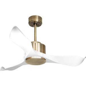 Purline Ventilateur de plafond ø106 cm avec Wifi Reversible Hypersilence