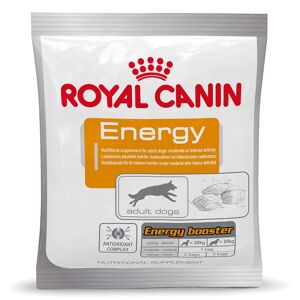 Royal Canin 50g Friandises Energy Royal Canin - Friandises pour chien - Publicité