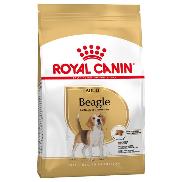 Royal Canin Breed 12kg Beagle Adulte Royal Canin - Croquettes