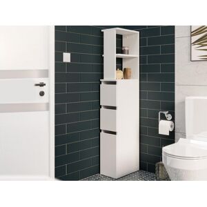 Mobistoxx Colonne salle de bain ROSAS 1 porte 2 tiroirs blanc