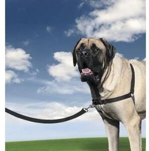 PetSafe Harnais Easy Walk / XL / 86 - 117 cm : Races Géantes