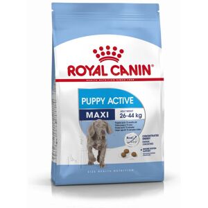 Royal Canin Maxi Puppy Active pour chien 15kg