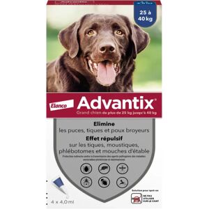 Advantix grand chien 25-40Kg - 4 pipettes