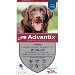 Advantix grand chien 25-40Kg - 6 pipettes