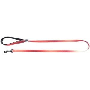 Martin Sellier Laisse Reflex Bordeaux 25 mm 1 m