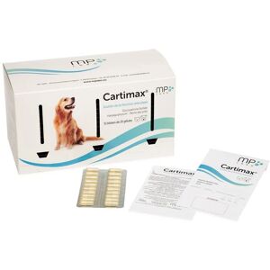 MP Labo CARTIMAX 60 GÉLULES 3 BLISTERS DE 20 GÉLULES