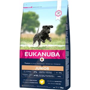 Eukanuba Junior Large Breeds Au Poulet Pour Chien - 15kg