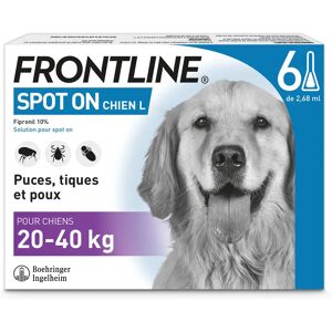 Frontline spot-on chien L 20 a 40kg - 6 pipettes