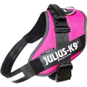 Julius-K9 Harnais Julius IDC Power-K9 Fuschia Baby 2 33-45 cm