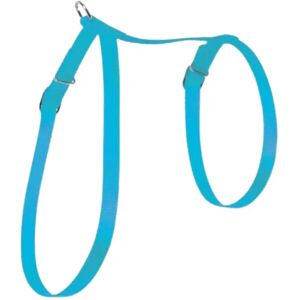 Zolux Harnais Nylon uni pour chat Turquoise