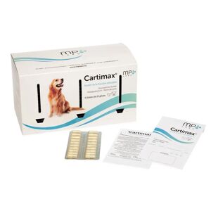 MP Labo CARTIMAX 300 GÉLULES 15 BLISTERS DE 20 GÉLULES