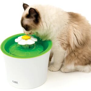 Cat It Fontaine a Eau CA 2.0 Verte 3l